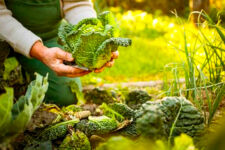 Photo of Les Verts-Buissonneurs Photo of Les Verts-Buissonneurs