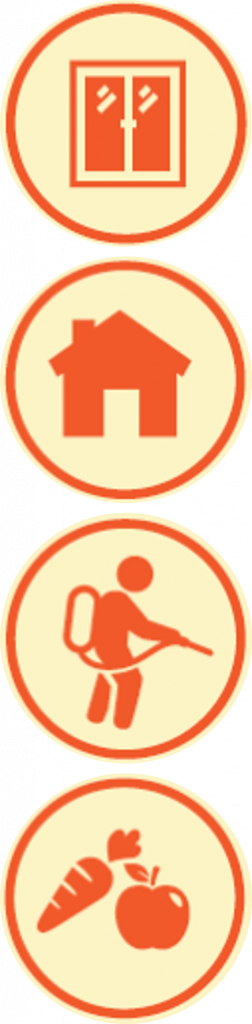 pictos ars demoustication.jpg