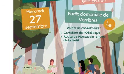 tef 2023 verrieres