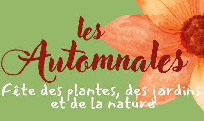 header automnales
