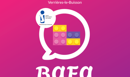 bafa site internet