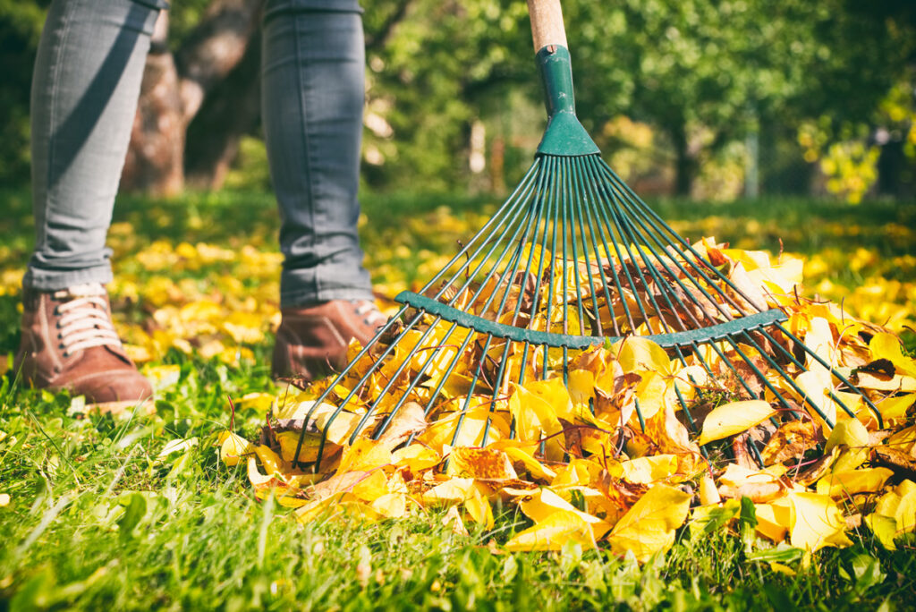 Environnement - Bonne pratique