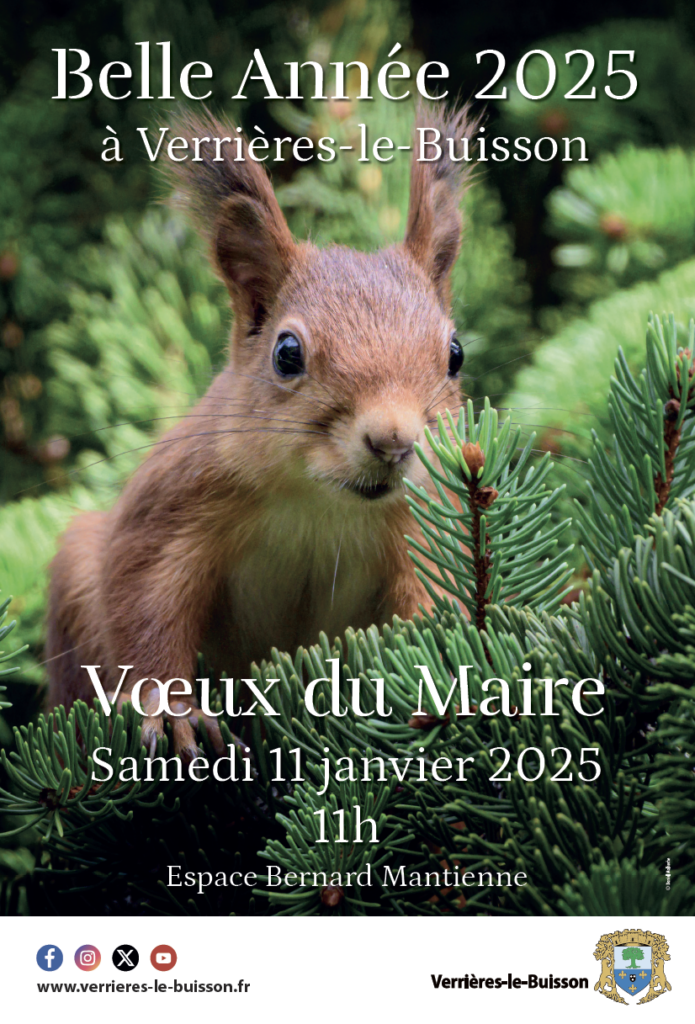 Vœux à la population