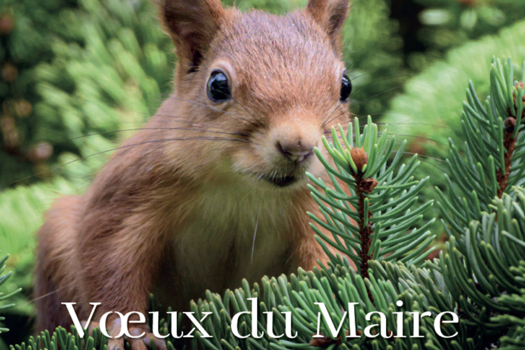 Vœux à la population 2025