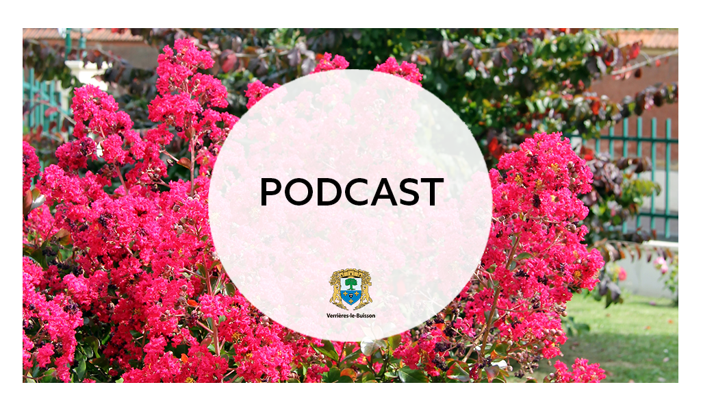 Bouton site Podcast