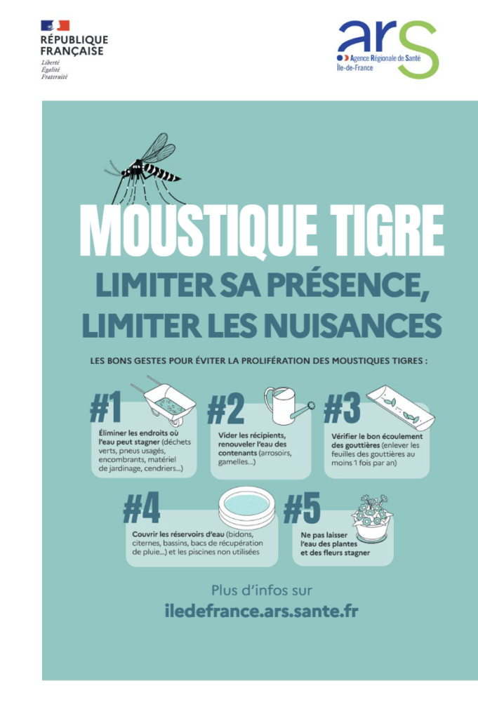 moustique tigre