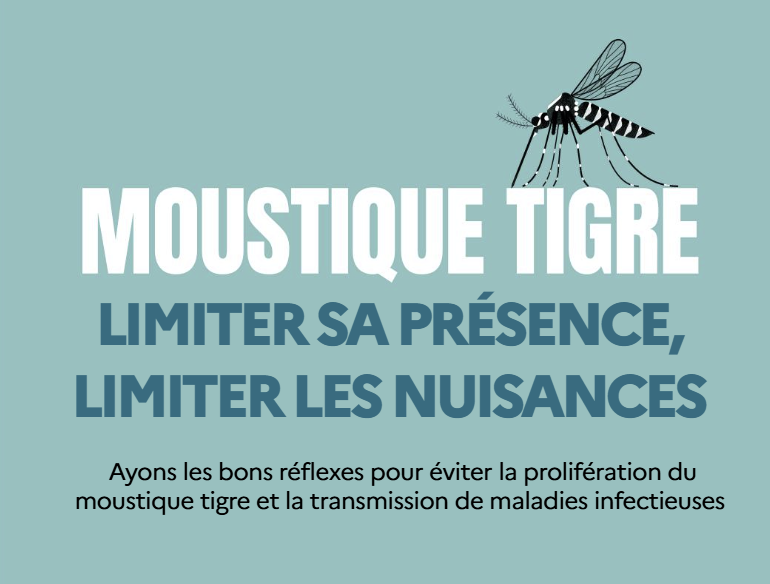 Moustique tigre