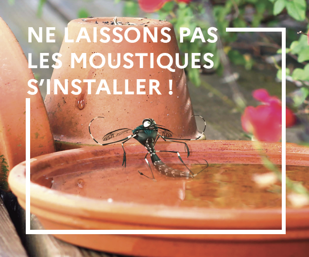 capture d'écran 2025 04 14 083726