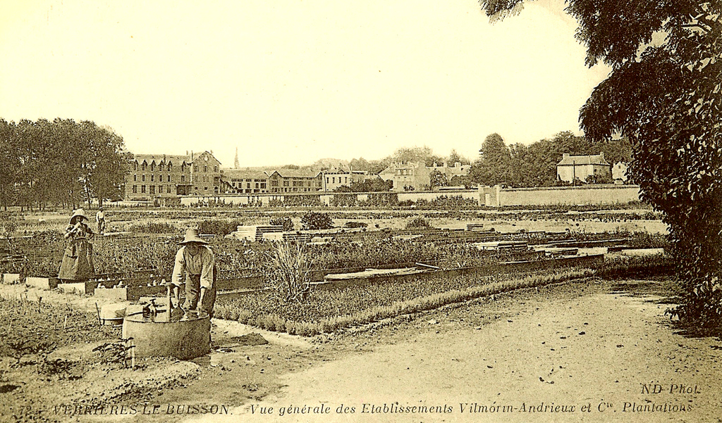 Histoire et patrimoine - Entreprise Vilmorin