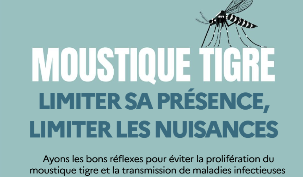 Moustique tigre