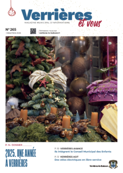 Capture d'écran 2025-11-28 083750