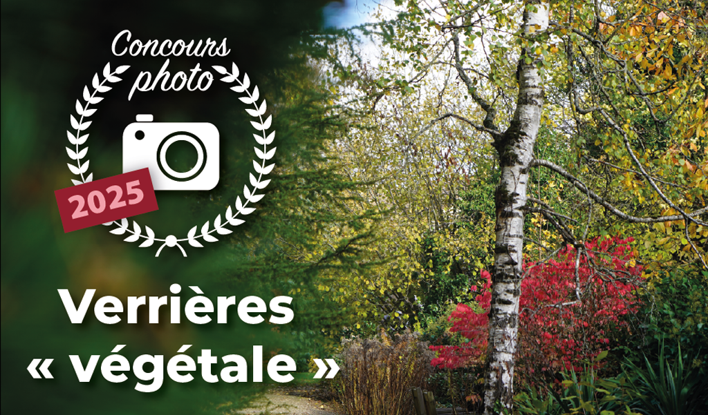 verrieres vegetale